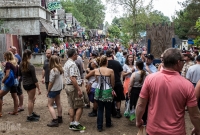 Michigan Renaissance Festival! 2015