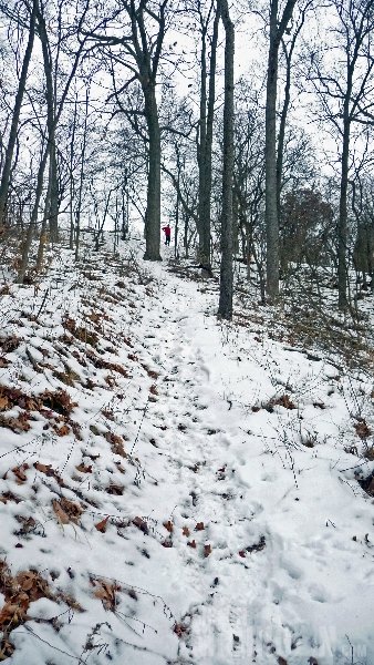 Michigan Winter Trail Running