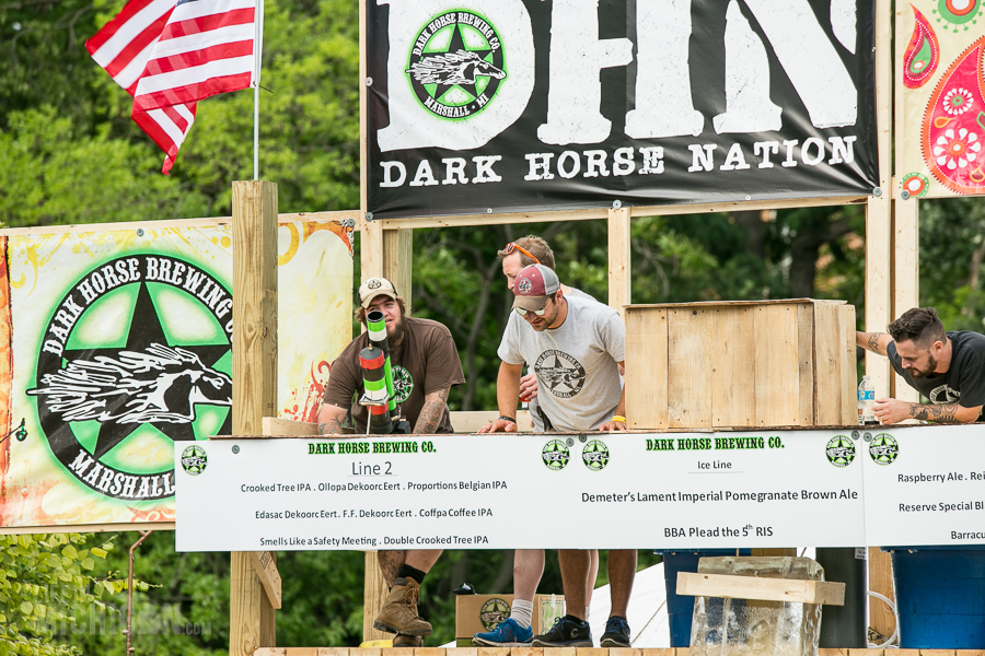 Michigan Brewers Summer Beer fest 2014