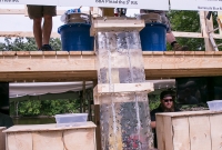 Michigan Brewers Summer Beer fest 2014