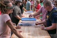 Michigan Brewers Summer Beer fest 2014