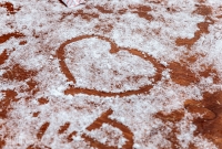 Michigan Winter Beer Festival 2017