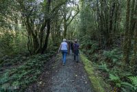 Milford-Sound-Overnight-Cruise-New-Zealand-16