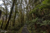 Milford-Sound-Overnight-Cruise-New-Zealand-20