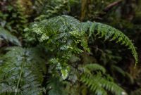Milford-Sound-Overnight-Cruise-New-Zealand-21