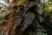 Milford-Sound-Overnight-Cruise-New-Zealand-23