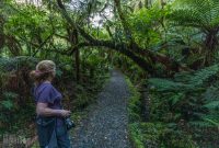 Milford-Sound-Overnight-Cruise-New-Zealand-25