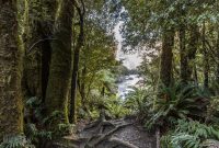 Milford-Sound-Overnight-Cruise-New-Zealand-26