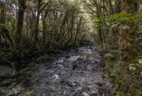 Milford-Sound-Overnight-Cruise-New-Zealand-31