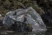 Milford-Sound-Overnight-Cruise-New-Zealand-47