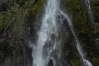 Milford-Sound-Overnight-Cruise-New-Zealand-54