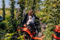 MrWizardHops-Harvest-2023-12