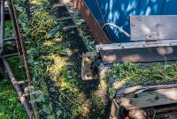 MrWizardHops-Harvest-2023-37