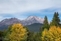 Mt. Shasta Brewing - Weed - California - 2014