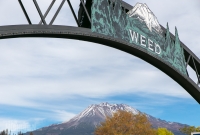 Mt. Shasta Brewing - Weed - California - 2014