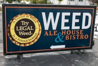 Mt. Shasta Brewing - Weed - California - 2014
