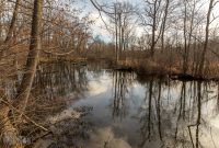 Nan Weston Nature Preserve-10