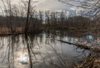 Nan Weston Nature Preserve-11