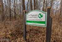 Nan Weston Nature Preserve-14
