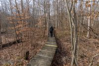 Nan Weston Nature Preserve-5