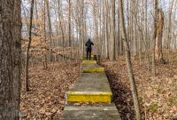 Nan Weston Nature Preserve-6