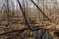 Nan Weston Nature Preserve-8