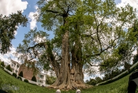 Carnton Plantation - Franklin