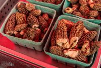 National-Morel-Mushroom-Fest-2023-8