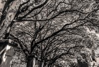 New-Orleans-2025-139