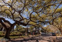 New-Orleans-2025-168