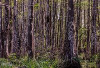 New-Orleans-2025-186