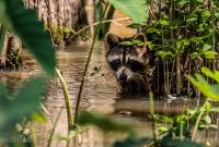 New-Orleans-2025-187