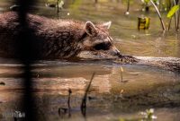 New-Orleans-2025-188