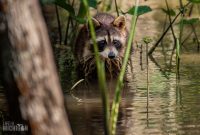 New-Orleans-2025-189