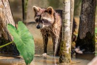 New-Orleans-2025-192