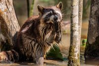 New-Orleans-2025-193