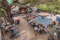 New-Orleans-2025-240