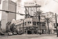 New-Orleans-2025-7