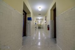 New-York-City-2026-157