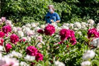 Peony-Garden-2020-12