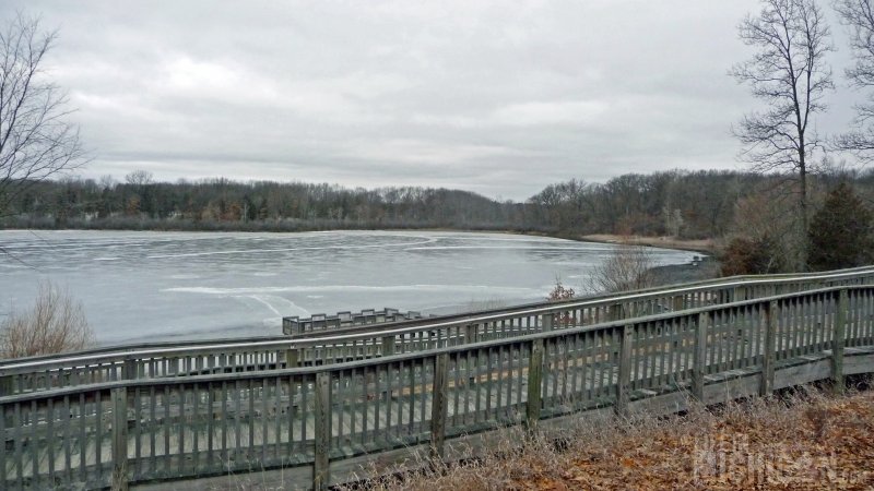 Looking out over the pond (or is it a lake) at Huron Meadows Metropark