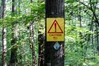 North Country Trail Run - Manistee - 2015