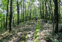 North Country Trail Run - Manistee - 2015