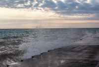 North Country Trail Run - Manistee - 2015