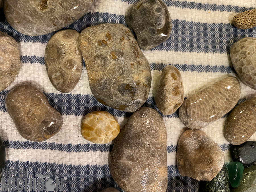 Michigan Fall Color Tour - Petoskey Stones