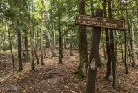 NorthernMichiganFallColors-Ishpeming-64