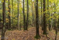 NorthernMichiganFallColors-Ishpeming-65