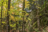 NorthernMichiganFallColors-Ishpeming-66