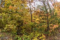 NorthernMichiganFallColors-Keweenaw-34