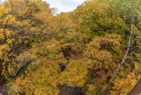 NorthernMichiganFallColors-Keweenaw-35